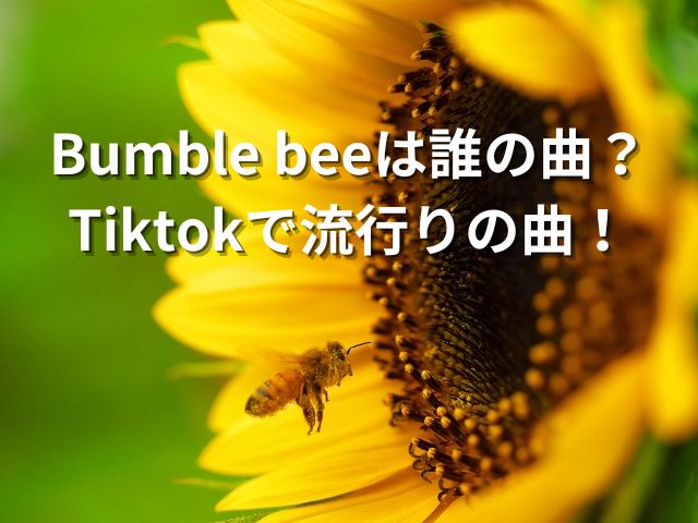 Bumblebeeは誰の曲？Tiktokで流行りの曲！