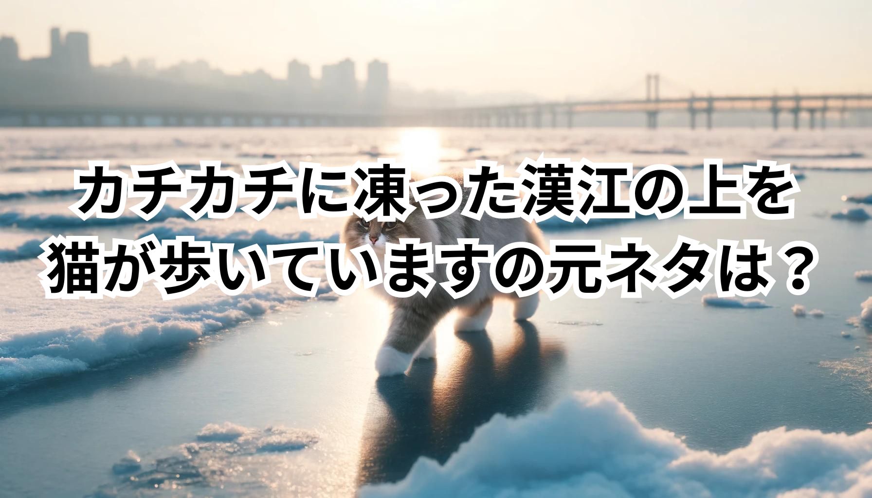 カチカチに凍った漢江の上を猫が歩いていますの元ネタは？
